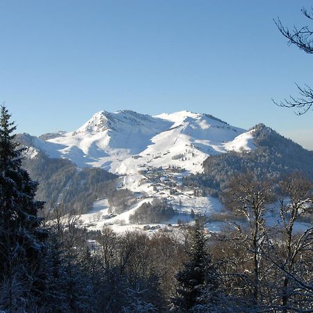 Hotel Les Skieurs Бельво Экстерьер фото