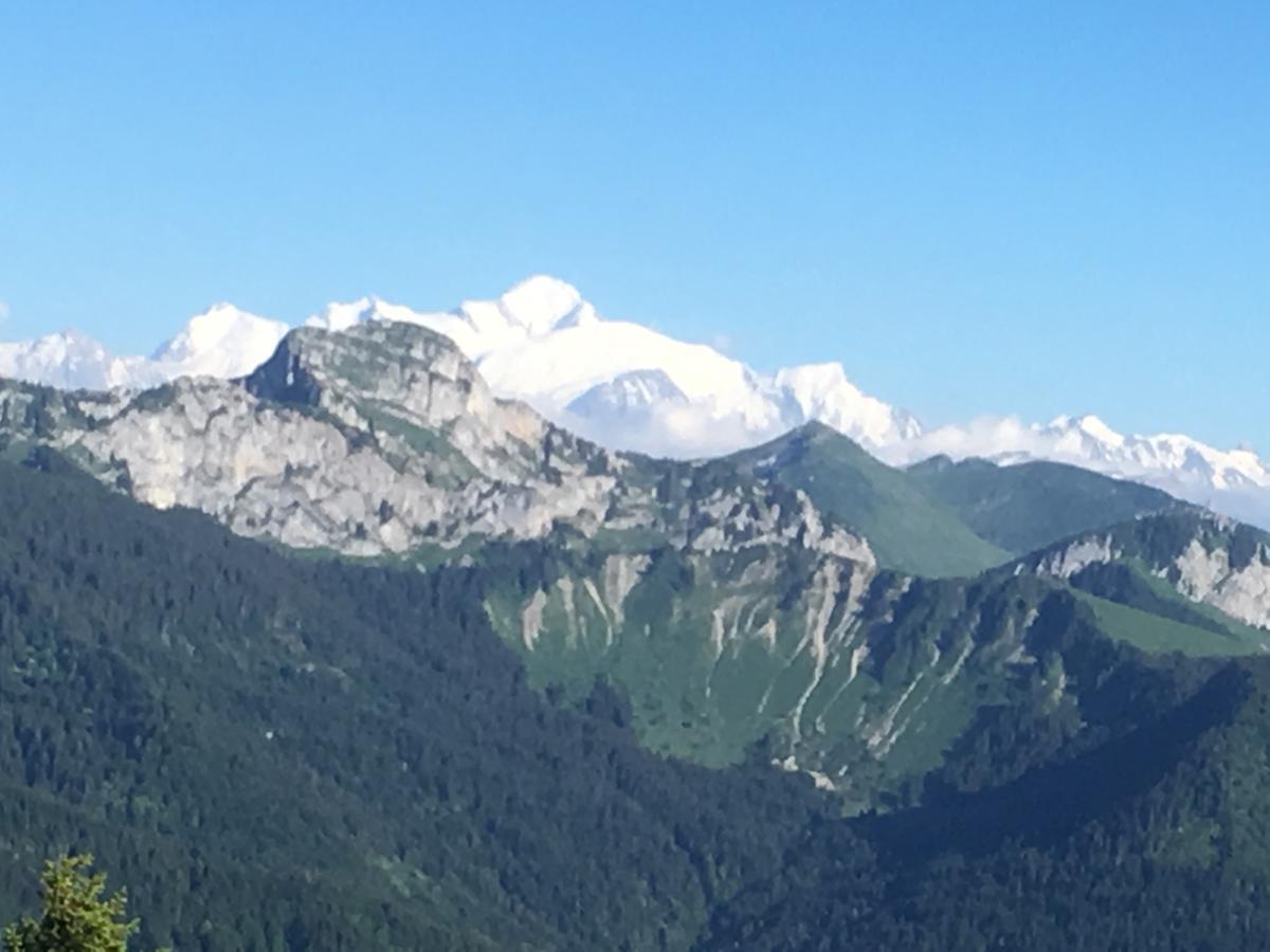Hotel Les Skieurs Бельво Экстерьер фото
