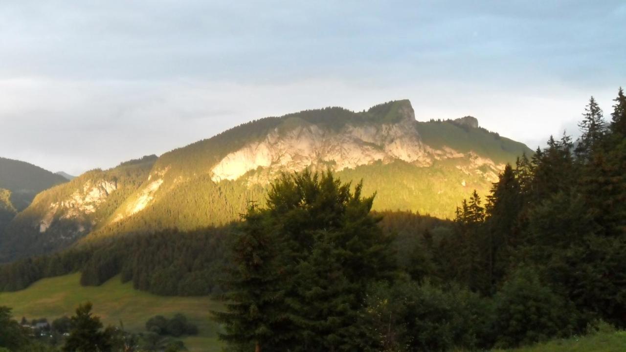 Hotel Les Skieurs Бельво Экстерьер фото